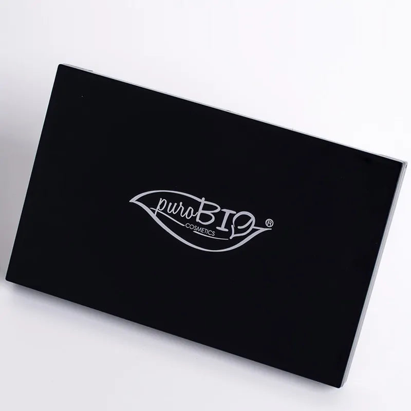 Paleta magnetike